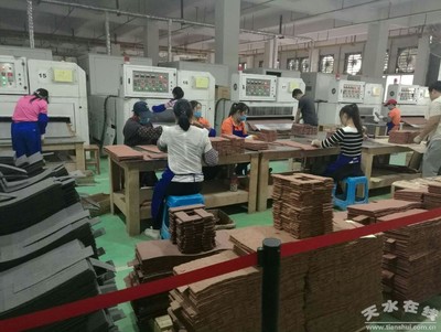 馬小龍赴廣東福美軟瓷等企業考察，推動產業合作與創新發展